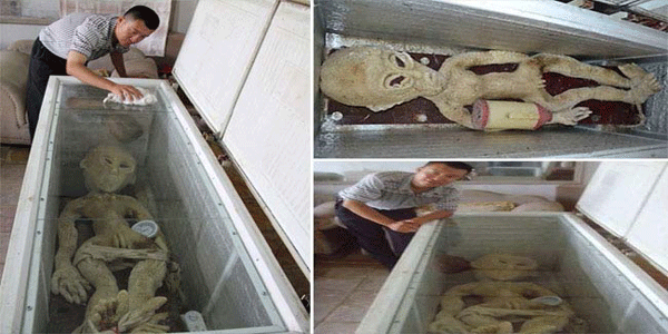 ‘एलियन’ के साथ फोटो अपलोड करना पडा महंगा