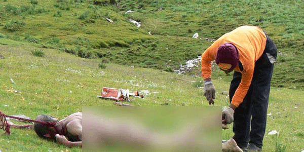 मरने के बाद यहां कौओं को परोसते है लाश