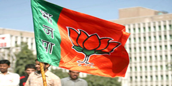 दिल्ली विधानसभा चुनाव : भाजपा ने शुरू की वेबसाइट