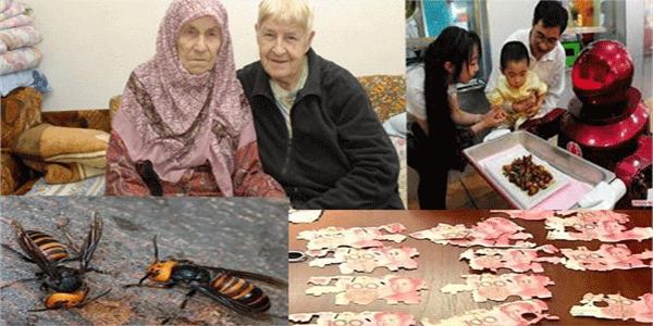 दुनिया की मजेदार टॉप 10 घटनाएं