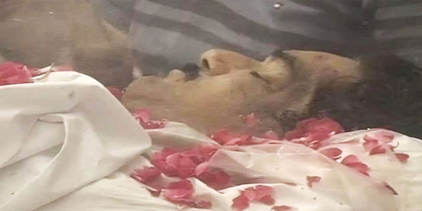 मुंबई पहुंचा मुंडे का पार्थिव शरीर, बेटी पंकजा देंगी मुखाग्नि